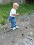 Fly Boy
