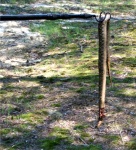 I Hate Snakes