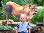 Lion Tamer