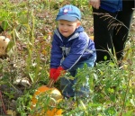 Great Pumpkin