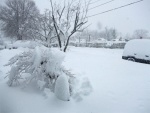 Blizzard 1